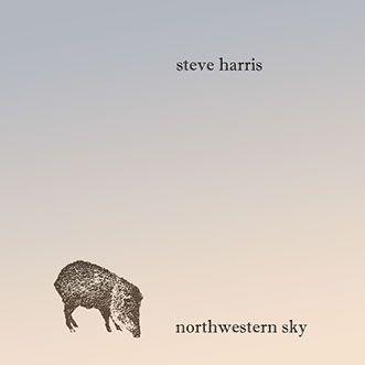 Steve Harris - Northwestern Sky